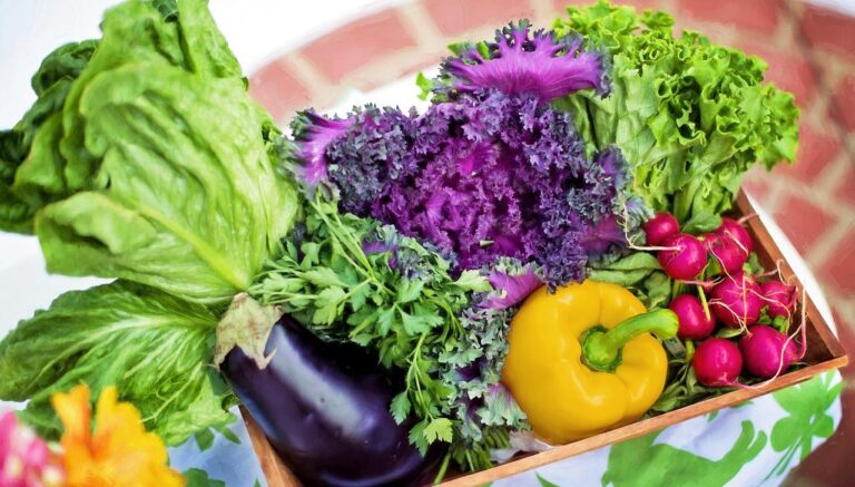 Read more about the article Creative Ways to Eat More Vegetables