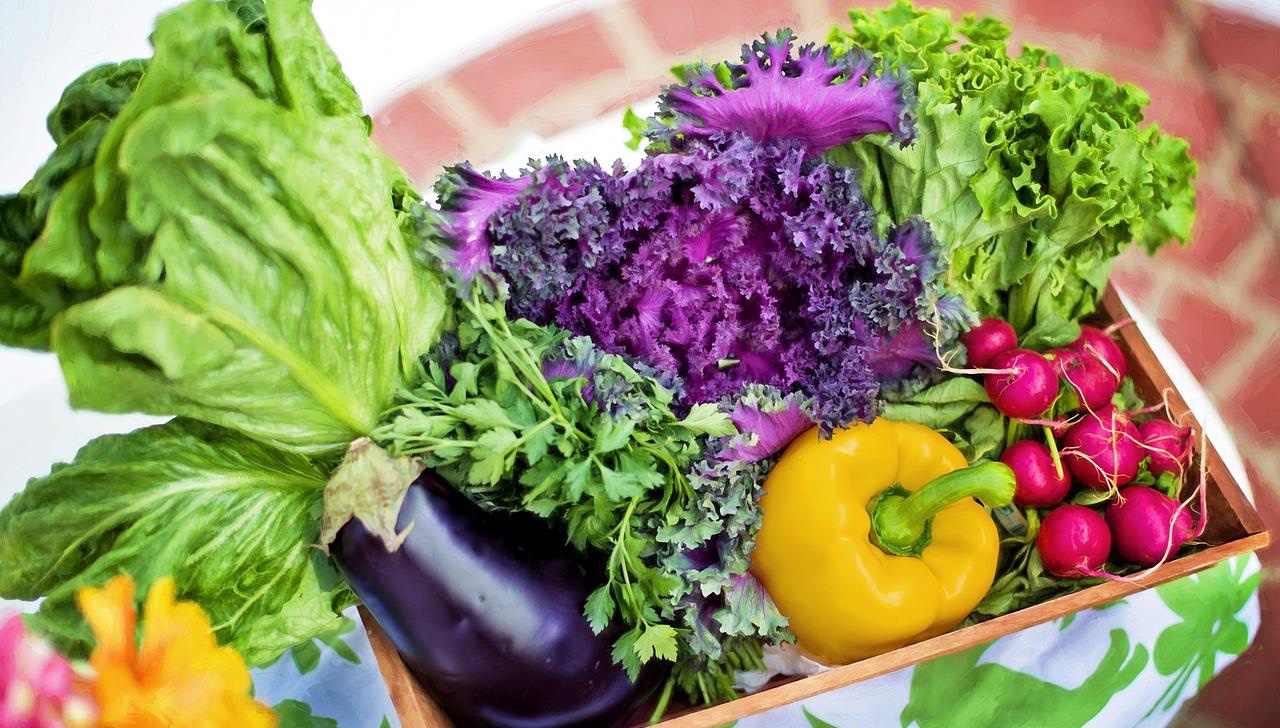 You are currently viewing Creative Ways to Eat More Vegetables